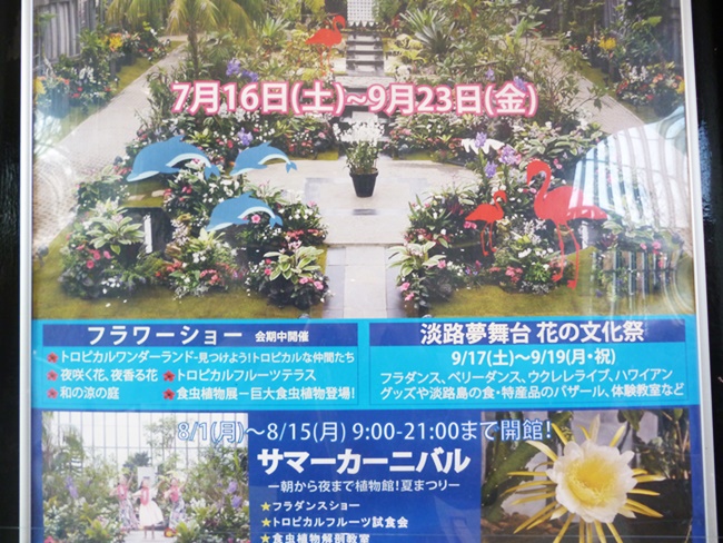 植物園のチラシ