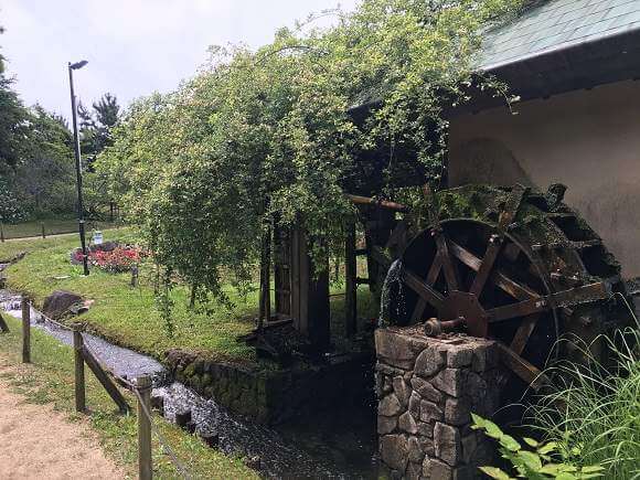 浜寺公園のばら庭園の水車小屋