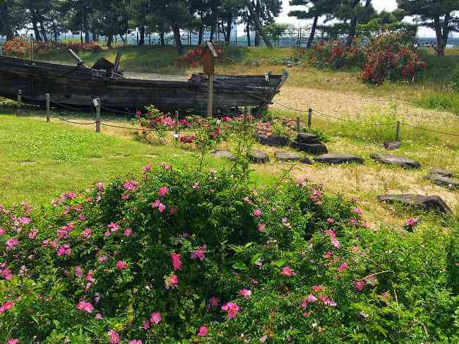 浜寺公園のばら庭園「海辺の景」