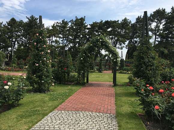 ばら庭園「まちの景」