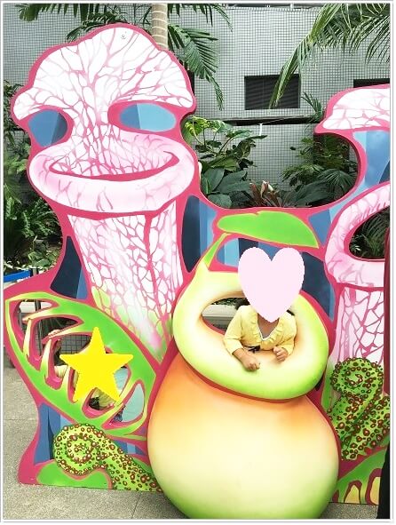 大阪で食虫植物が見れる 咲くやこの花館の 虫を食べる植物展 ゆうゆうブログ 大阪で食虫植物が見れる 咲くやこの花館の 虫を食べる植物展 ゆうゆうブログ