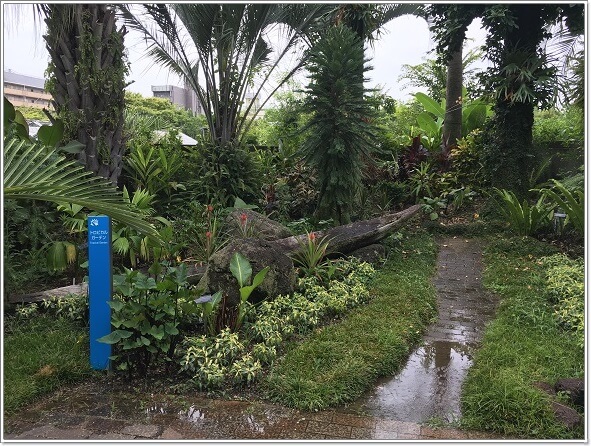 熱帯雨林植物室