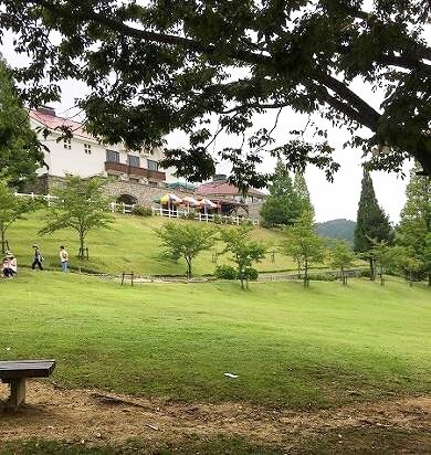 六甲山牧場の様子