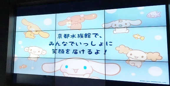 京都水族館とシナモロールのコラボレーション