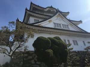 岸和田城へ行こう！入場料やアクセス（行き方）駐車場などご紹介