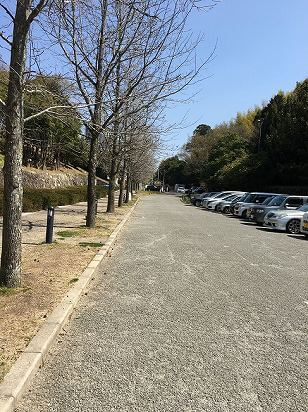 一番公園にちかい駐車場の様子