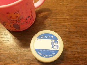 登下校見守りシステム利用で安心！「がっこメ」使っている感想