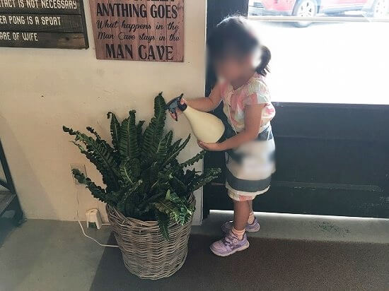 植物の水やりをする娘