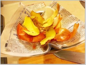 簡単＆効果大！生ゴミの臭い対策は新聞紙で雑菌の繁殖を防ぐ