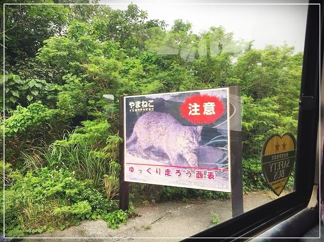 西表島ツアー