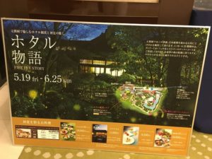 大阪市内でホタルが見れる「太閤園」のホタル観賞