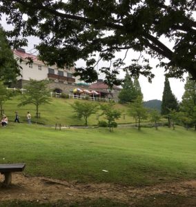 六甲山牧場に子供が大喜び！羊がそこら中歩いていてメチャ楽しい