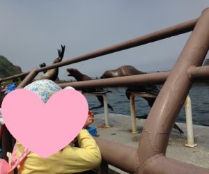 子供と小樽に行くなら海!『おたる水族館』をおススメする8つの理由
