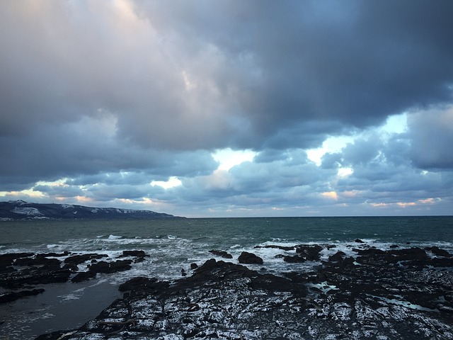 海岸の様子