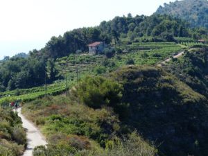 よもぎ風呂で餅気分！？肌が弱い子供でも入る事が出来るので嬉しい。