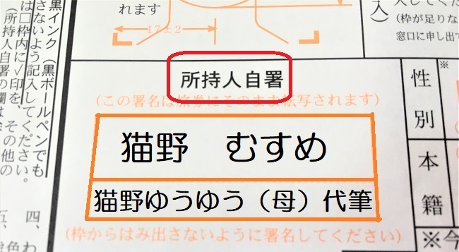 字が書けない子供の申請用紙記入例