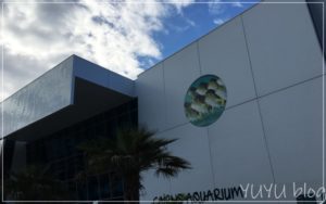 「ケアンズ水族館」の入館料や所要時間、館内の様子など詳しく紹介！