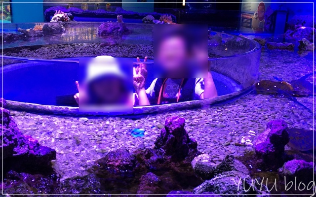 磯の生き物と一緒に写真にうつる子供たち