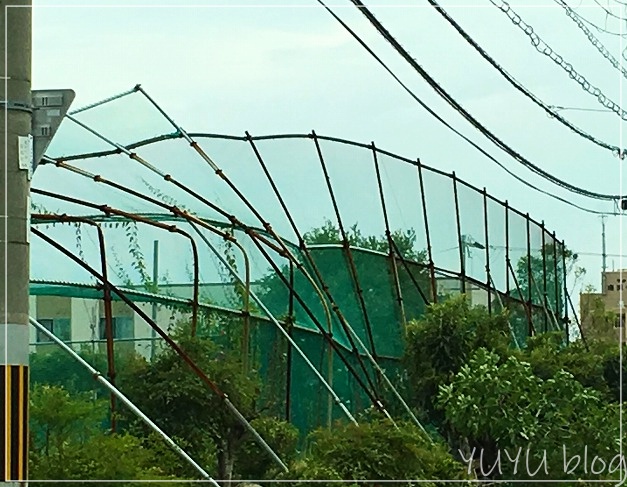 台風21号、大阪で停電3日間を経験。こんな風に過ごしていました。