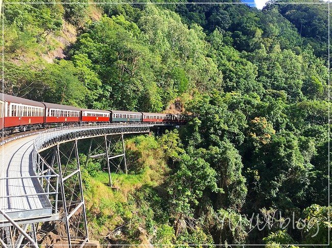 キュランダ鉄道後部座席からとった写真