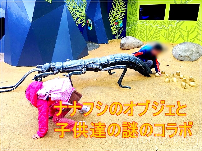オーストラリア旅行8日目 メルボルン動物園の料金と行き方などをご紹介 ゆうゆうブログ オーストラリア旅行8日目 メルボルン動物園の料金と行き方などをご紹介 ゆうゆうブログ