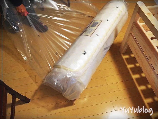 f:id:nyuuko:20190223204123j:plain 2つ目は何故かゆっくり復元