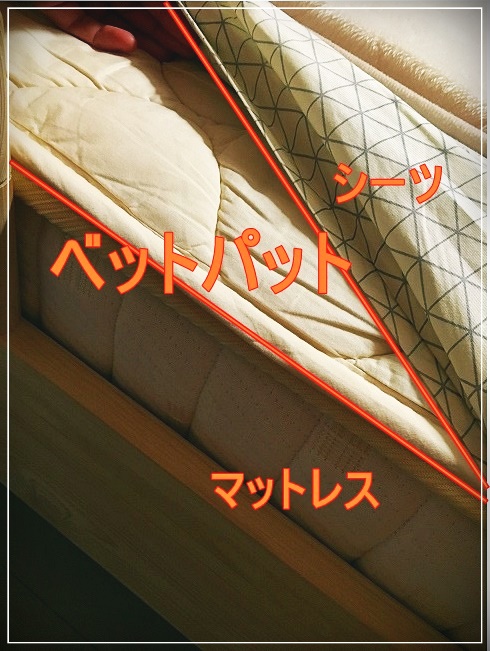 f:id:nyuuko:20190223204344j:plain 快眠を左右するベットパット
