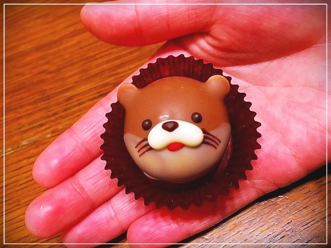 可愛いラッコチョコ