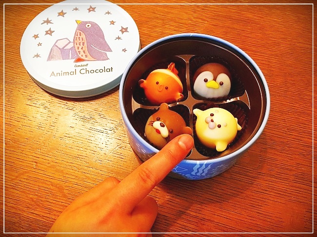 海の生き物チョコレート