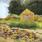 岸和田の蜻蛉池（とんぼいけ）公園の駐車場、遊具、食事などを詳しくご紹介！