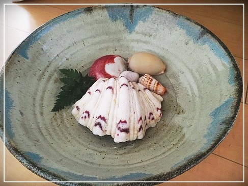 ベットの穴下には貝が♪