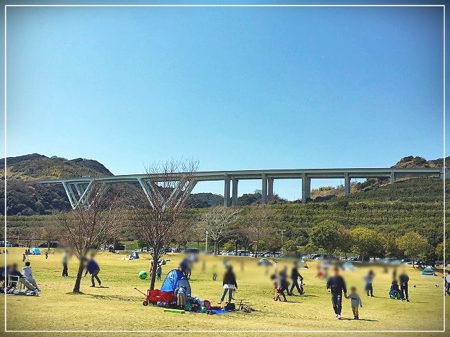 広々した芝生広場