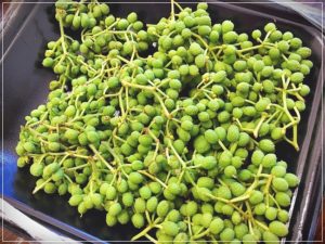 山椒の実の処理方法。初めてでも衝撃的なほど簡単に出来ました