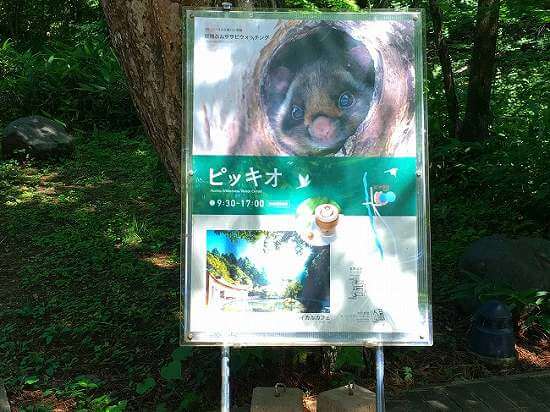 ピッキオの看板