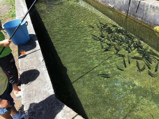 透き通った水