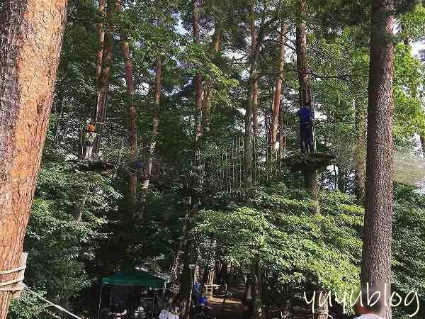 リゾナーレ八ヶ岳のアスレチック