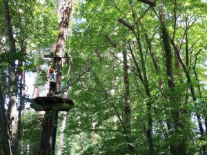 リゾナーレ八ヶ岳アクティビティ「森の空中散歩」のアスレチックが面白い