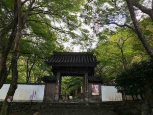 牛滝山大威徳寺の紅葉は大阪で一番人気!アクセスや牛滝山の滝などをご紹介