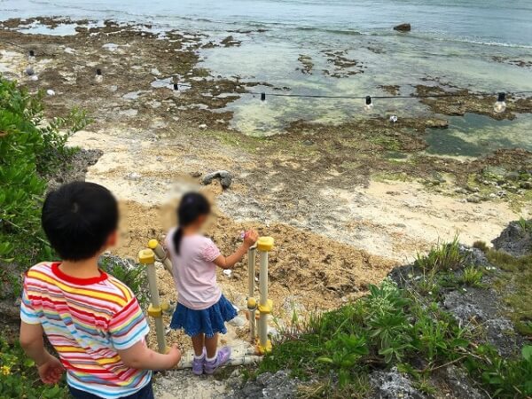 お店の庭から磯に出た子供たち