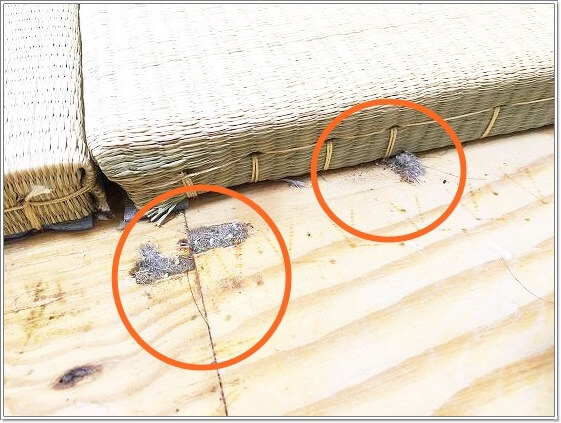 畳をめくって床掃除 息がとまるくらいゴミがあって衝撃的だった ゆうゆうブログ 畳をめくって床掃除 息がとまるくらいゴミがあって衝撃的だった ゆうゆうブログ