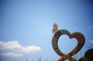 コロナで思ったこと。なんでも思いついたらすぐにやった方がいい