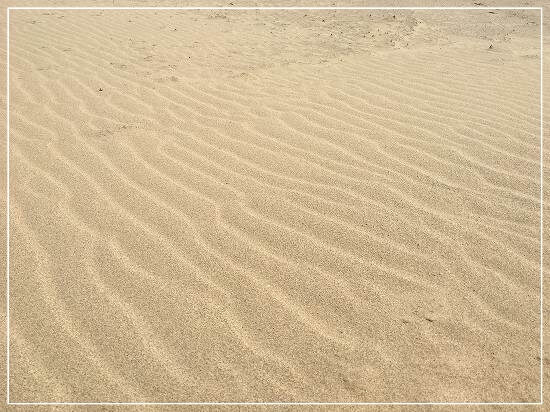 風紋が美しい砂丘