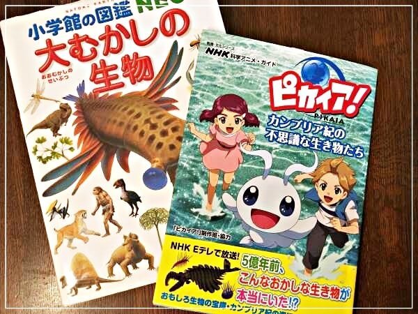 恐竜から昔の生き物に興味