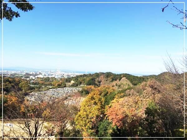 見晴らしの丘からの風景