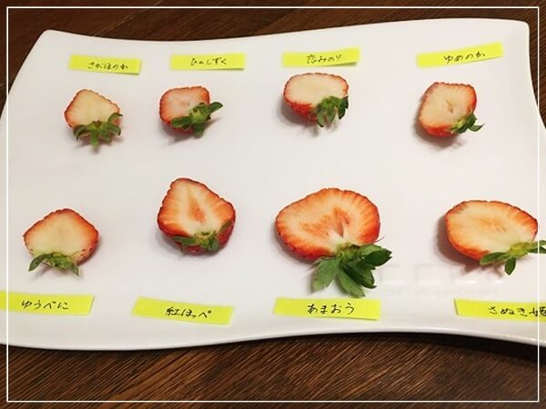苺8種類