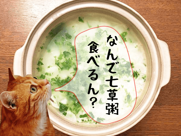 春の七草粥