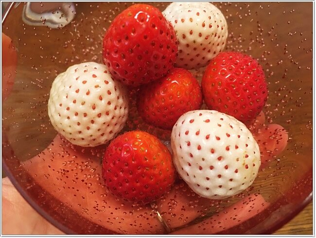 白い苺ってどんな味 おやつに買って食べてみたよ ゆうゆうブログ 白い苺ってどんな味 おやつに買って食べてみたよ ゆうゆうブログ