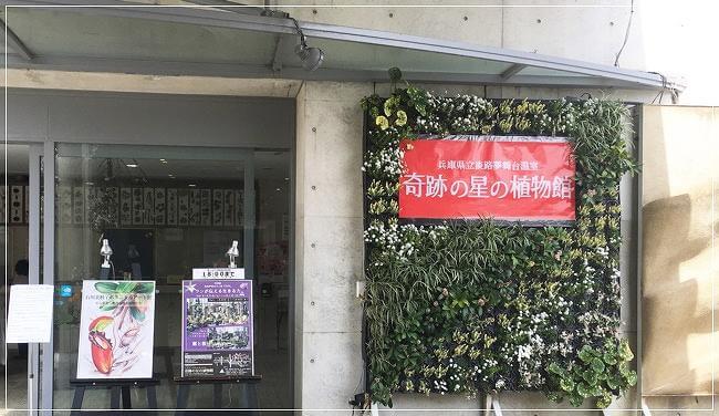 「奇跡の星の植物館」の入り口