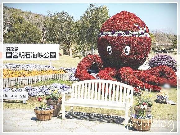 淡路海峡公園の花で作ったタコ