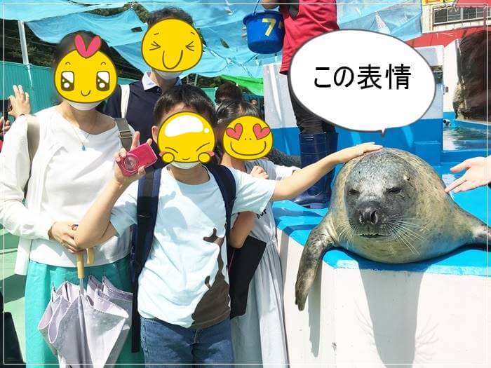 伊勢シーパラダイスでゴマアザラシとタッチと写真撮影